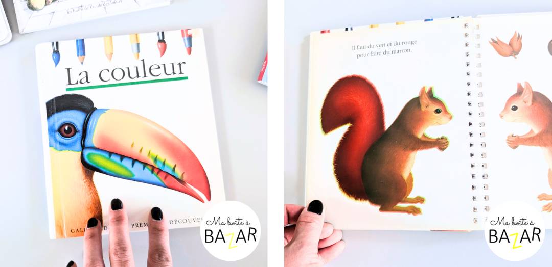 Livres jeunesse pour apprendre les couleurs en maternelle